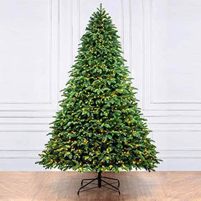 Portland Fir