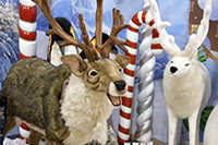 Harrogate Christmas & Gift 2023