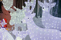 Harrogate Christmas & Gift 2023