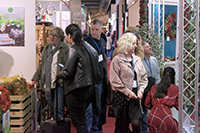 Harrogate Christmas & Gift 2023