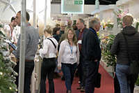 Harrogate Christmas & Gift 2023