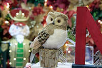 Harrogate Christmas & Gift 2023