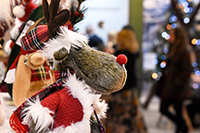 Harrogate Christmas & Gift 2023