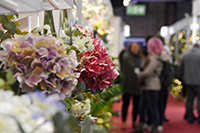 Harrogate Christmas & Gift 2023