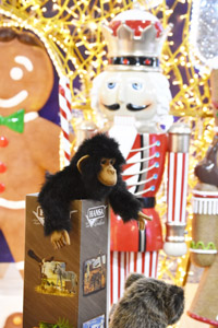 Harrogate Christmas & Gift 2025