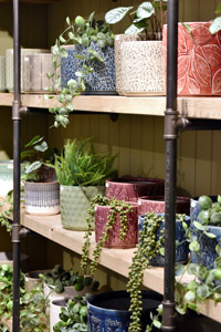 Harrogate Christmas & Gift 2025