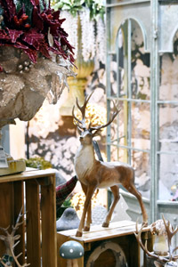 Harrogate Christmas & Gift 2025
