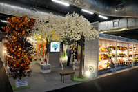 Harrogate Christmas & Gift 2025