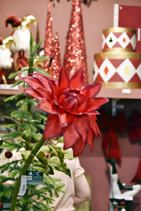 Harrogate Christmas & Gift 2025