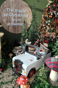 Harrogate Christmas & Gift 2025