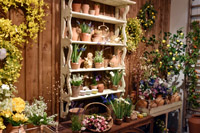 Harrogate Christmas & Gift 2025