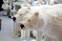 Harrogate Christmas & Gift 2026