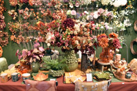 Harrogate Christmas & Gift 2026