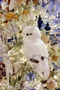 Harrogate Christmas & Gift 2026