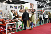 Harrogate Christmas & Gift 2026