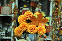 Harrogate Christmas & Gift 2026